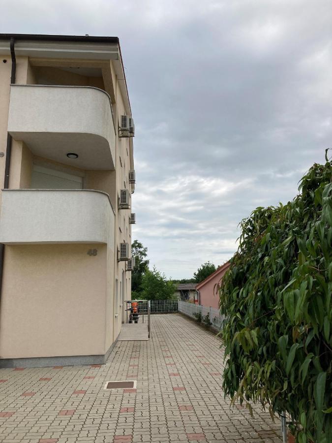 Cozy Varos * Pula